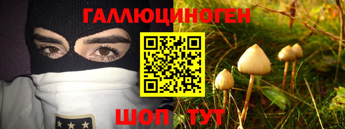 Псилоцибиновые грибы ЛСД Ипатово